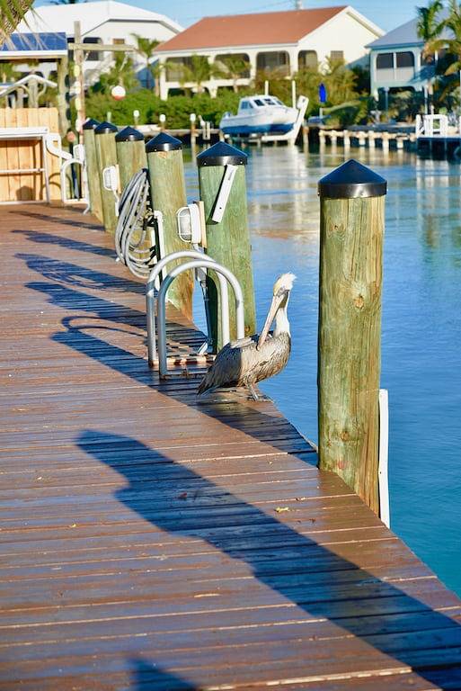 Endschlüssel Grand 3/2 W / 90 'Private Dock, Keine Dockage Gebühren, Trailer Storage enthalten in Duck Key, Monroe County