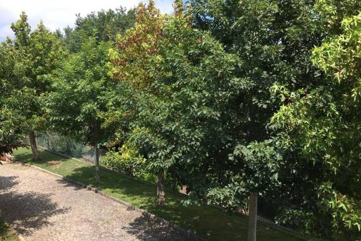 Gîte pour 6 personnes, avec jardin ainsi que piscine et vue dans Oliveira de Azeméis - 2