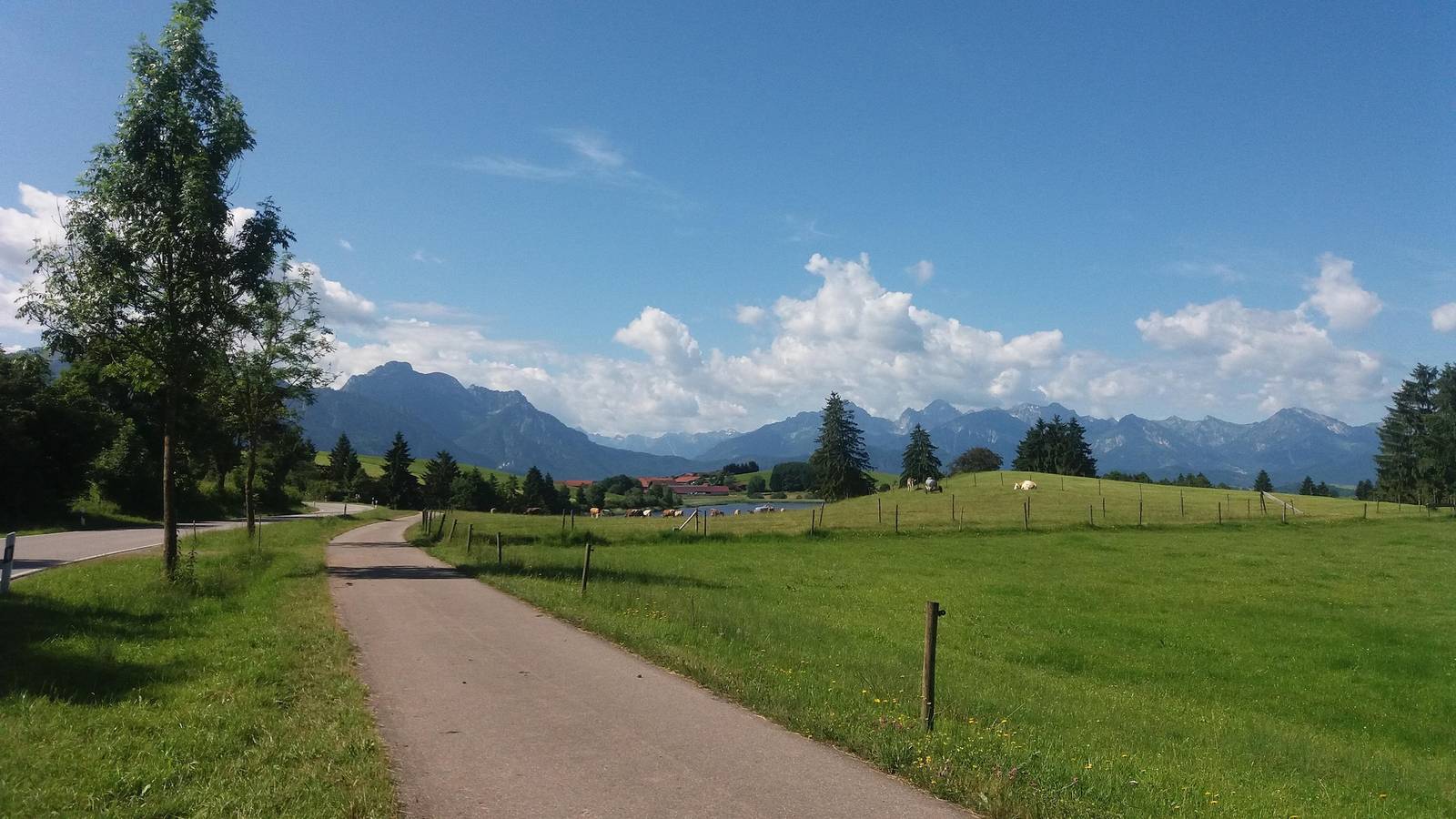 Fewo Schwalbennest, Königscard, foto 12