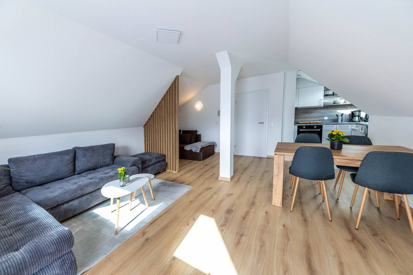 Ganze Wohnung, Apartment 'Bähnleradweg' mit Balkon und Wlan in Suedlicher Schwarzwald, Lenzkirch