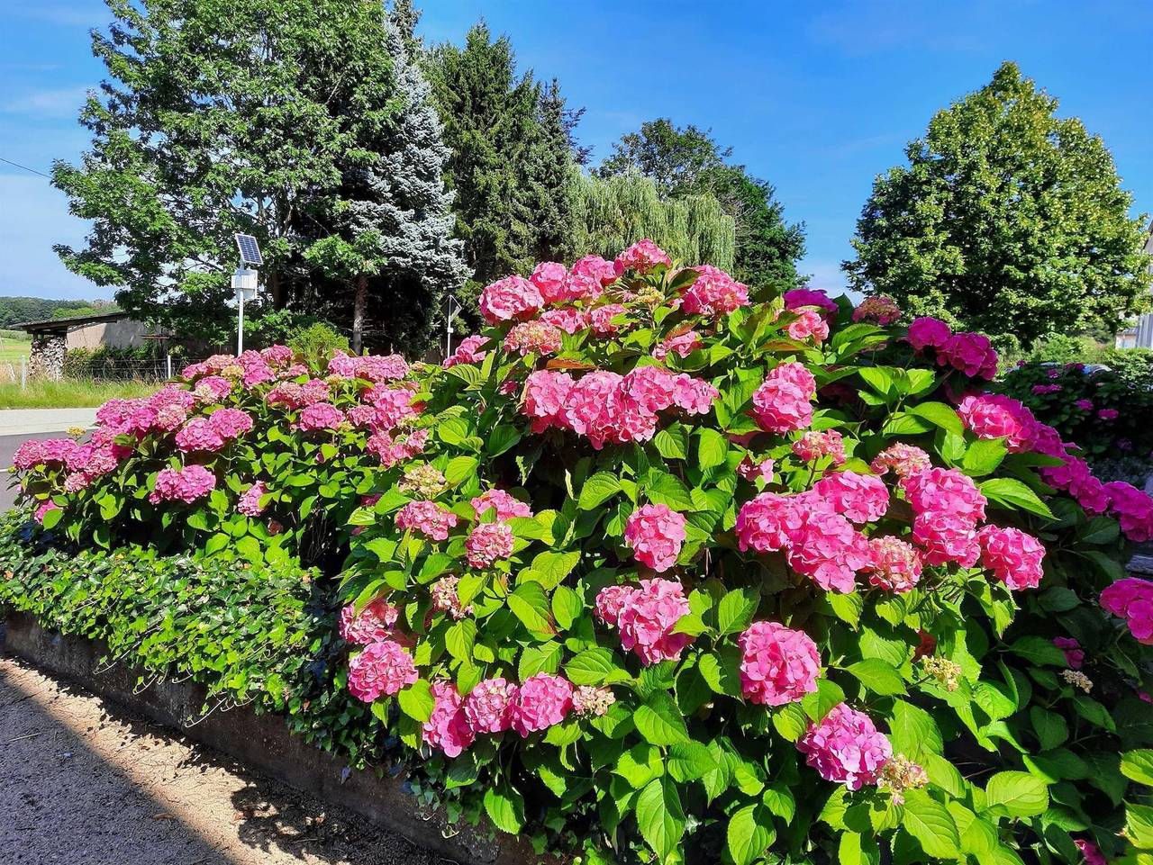 Ganze Ferienwohnung, Ferienwohnung Kirschenknupp - Appartement/Fewo, Dusche, Wc, 2 Schlafräume in Perl, Saar-Nahe-Bergland