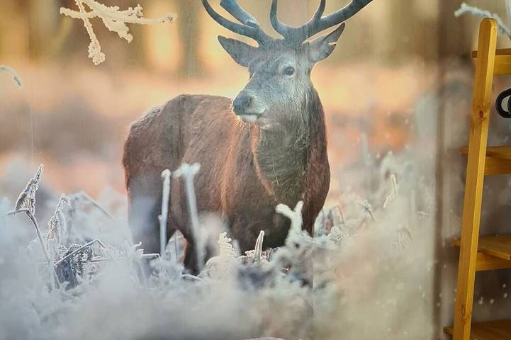 Ferienpark für 4 Personen, mit Balkon in Goslar - 2