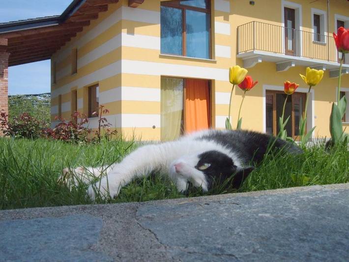 Chambre d’amis pour 6 personnes, avec jardin à Dronero - 3