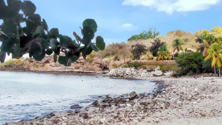 Location de vacances pour 4 personnes, avec terrasse dans Plage de Petite Anse - 3