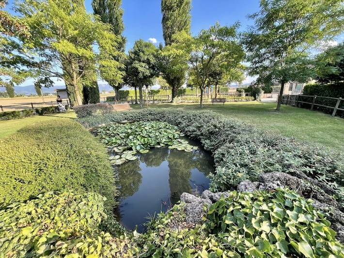 Favolosa villa con piscina recintata, vasto terreno, parco di mediazione, parco in Spello, Perugia e dintorni