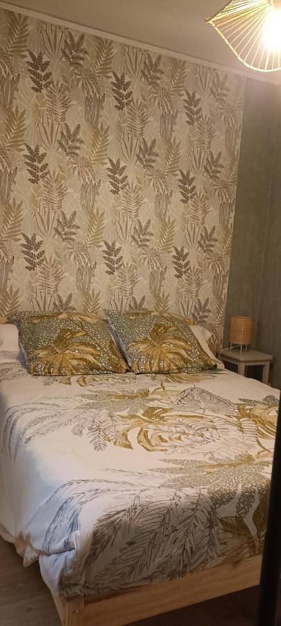 Gîte pour 4 personnes, avec jardin et vue dans Ébreuil - 3