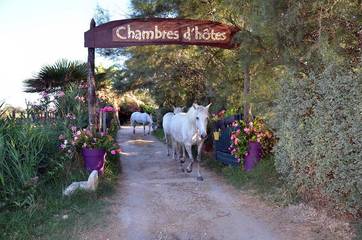 Cottage pour 2 personnes, avec jardin dans Parc naturel régional de Camargue