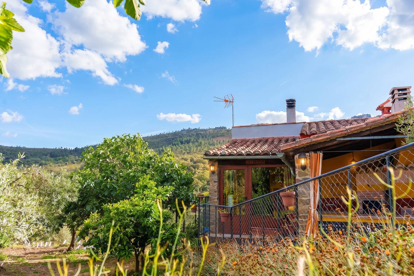 Gezellig studio in Valencia de Alcántara 25 m² mooie tuin, foto 6