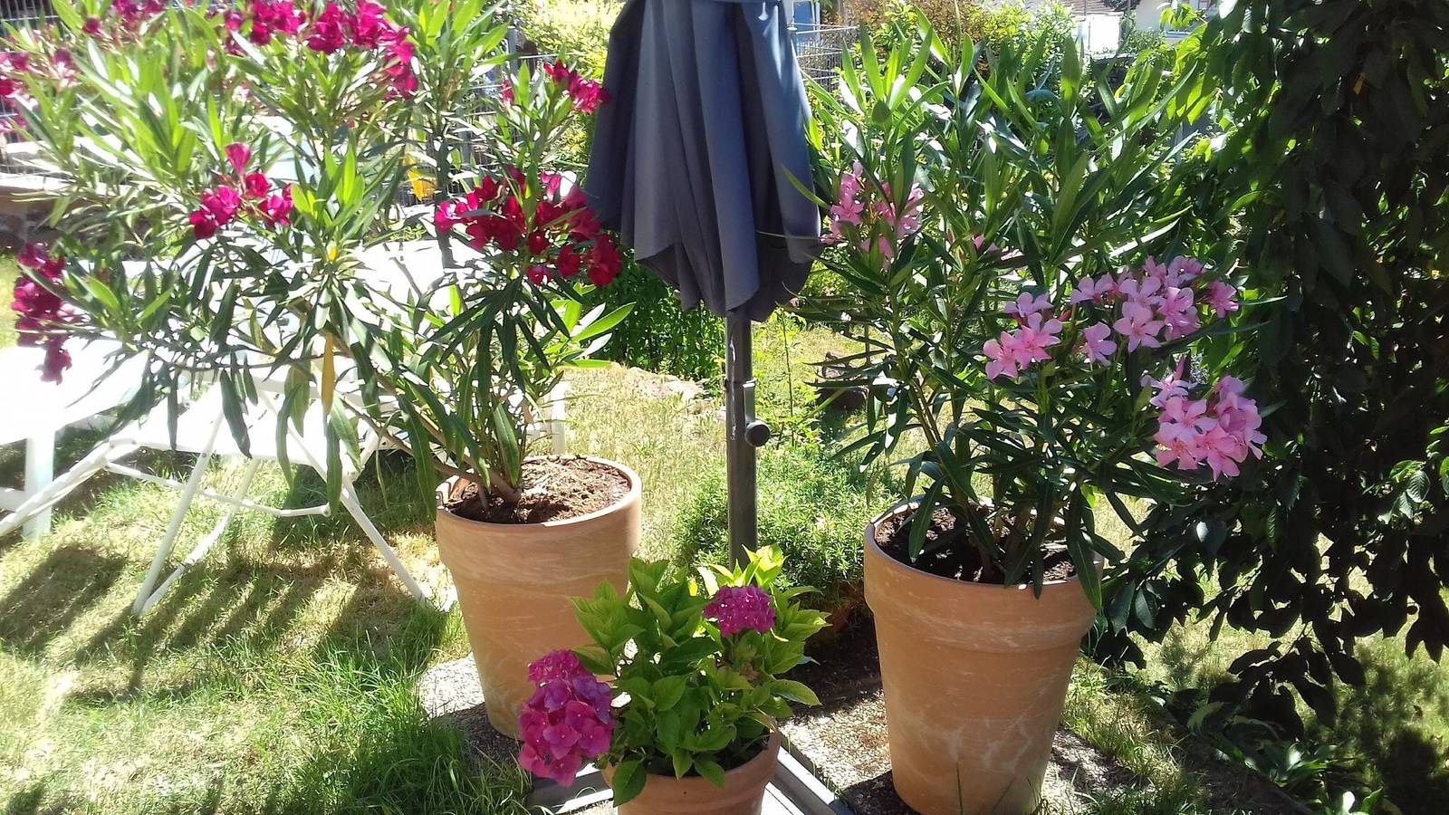 Appartement 'Ruth' met privéterras en Wi-Fi, foto 15