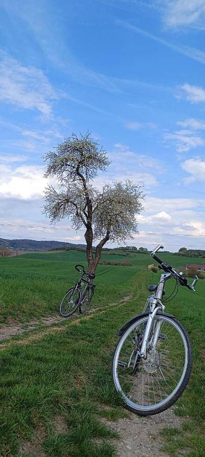 Ferienwohnung für 5 Personen, mit Sauna und Ausblick in Diebach - 4