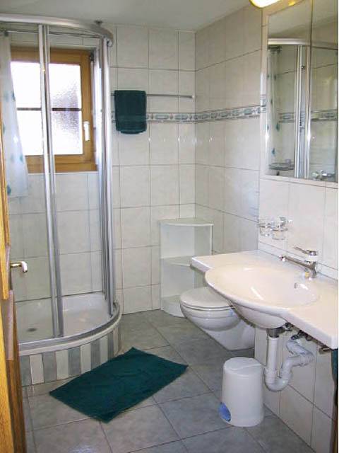 Ganze Ferienwohnung, Wohnung Nr. 19 Sierra Vista - 4-Bettwohnung in Grächen, Walliser Alpen