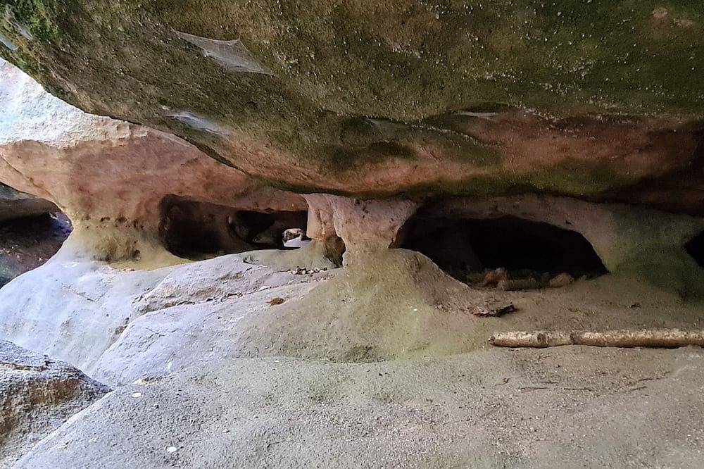 Ganze Wohnung, 4 P.-Fewo \"Waldquell\" im Landhaus Porschdorf (Sächsische Schweiz) in Rathmannsdorf, Elbsandsteingebirge