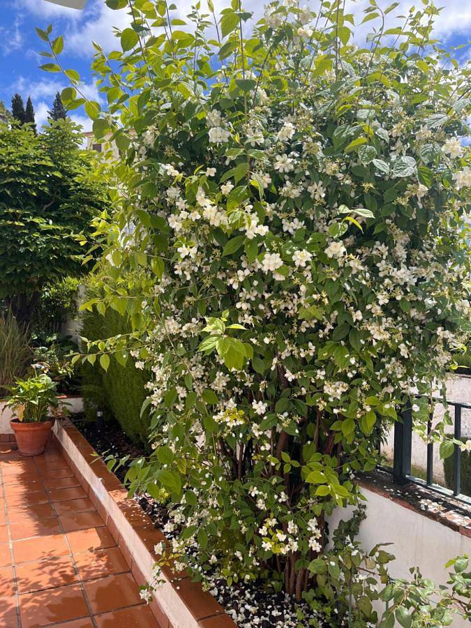 Casa rural para 10 personas, con jardín además de piscina y vistas en Granada - 4
