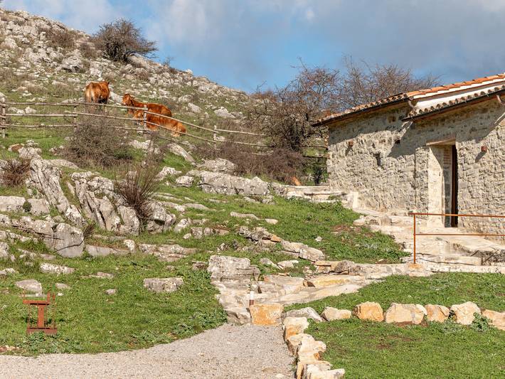 Ferienhaus für 2 Personen, mit Garten und Terrasse, mit Haustier in Grosseto Provinz - 3