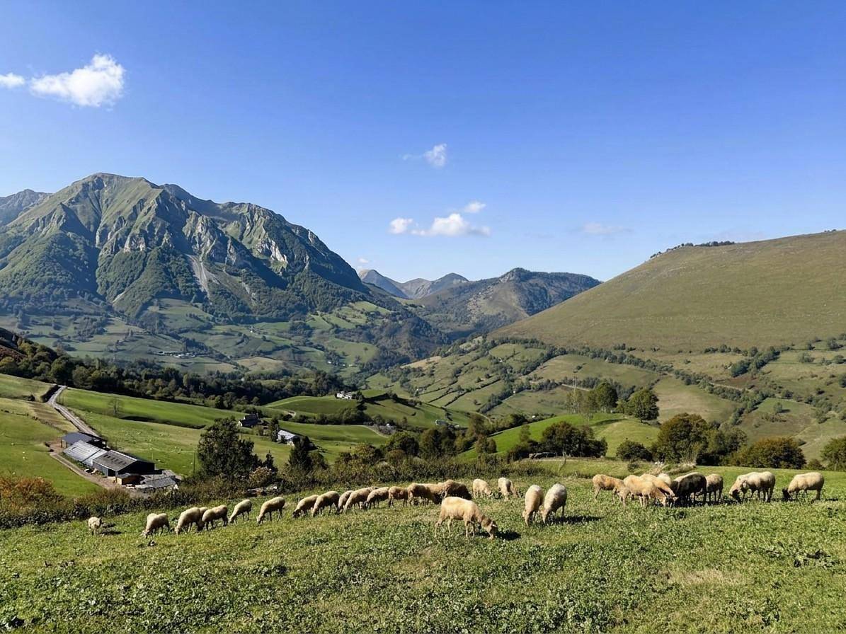 Lauseig in Lourdios-Ichère, Béarn