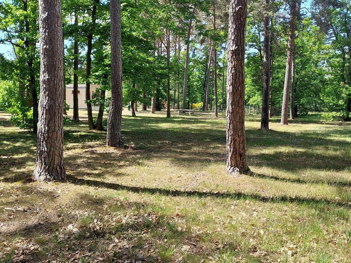 Camping Onlycamp Les Pins in Nançay, Sologne