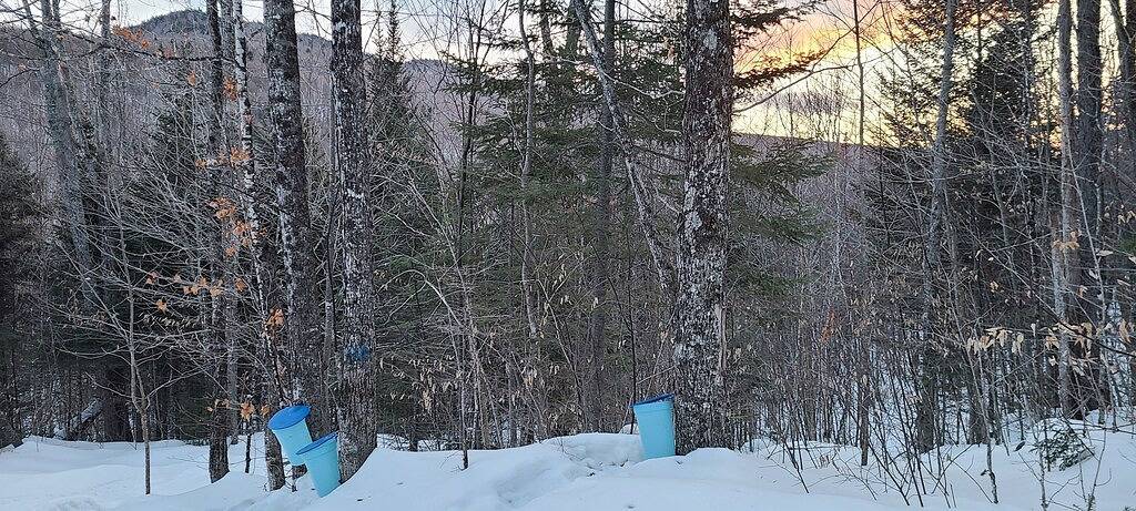 Cabin at Hidden Falls Farm in Vermont