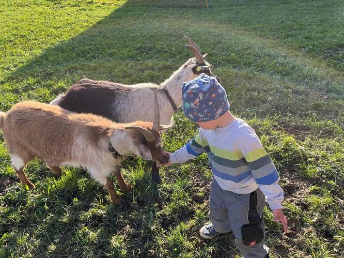 Gîte pour 4 personnes, avec terrasse et vue à Bezau - 2