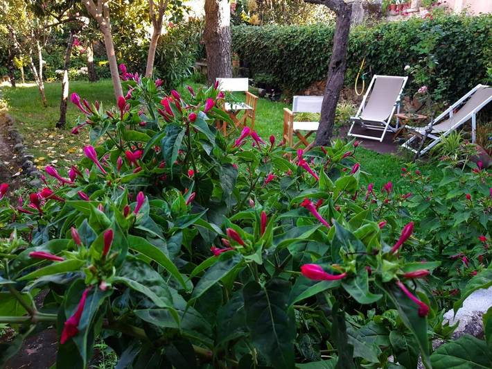 Location de vacances pour 6 personnes, avec vue et jardin dans Miranda do Corvo - 2