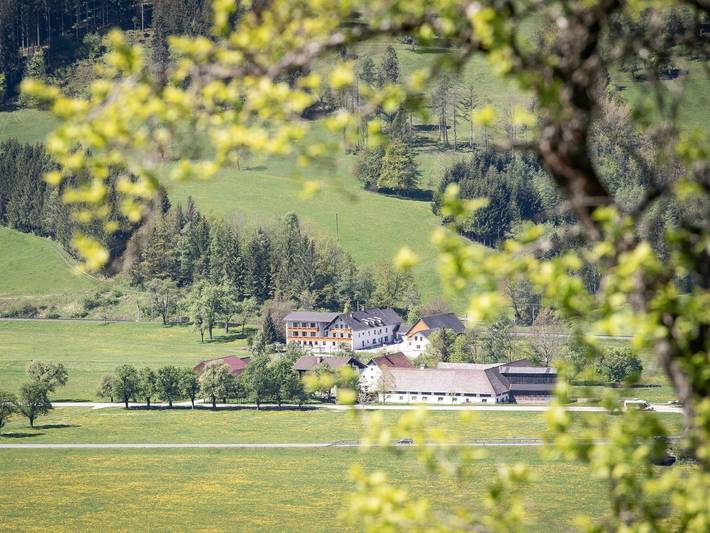 Gasthof Kaspar - Doppelzimmer I mit Dusche, Wc in Spital am Pyhrn, Kirchdorf an der Krems (Bezirk)