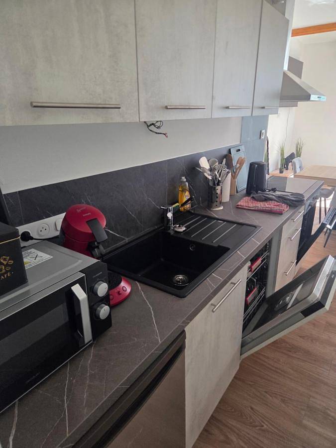 Gîte pour 5 personnes, avec terrasse et vue, animaux acceptés à Entraygues-sur-Truyère - 3
