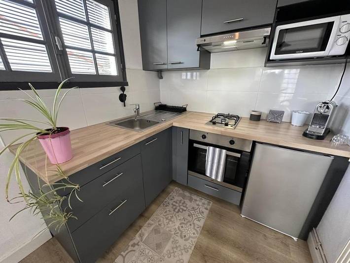 Gîte pour 4 personnes, avec jardin, animaux acceptés dans Lac de Biscarrosse - 4