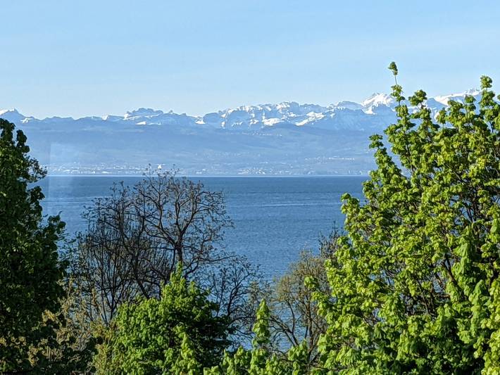 Ferienwohnung für 5 Personen, mit Balkon/Terrasse und Seeblick sowie Balkon in Friedrichshafen - 4