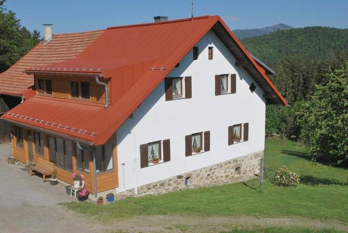 Ferienhaus für 12 Personen, mit Terrasse und Garten in Nationalpark Bayerischer Wald