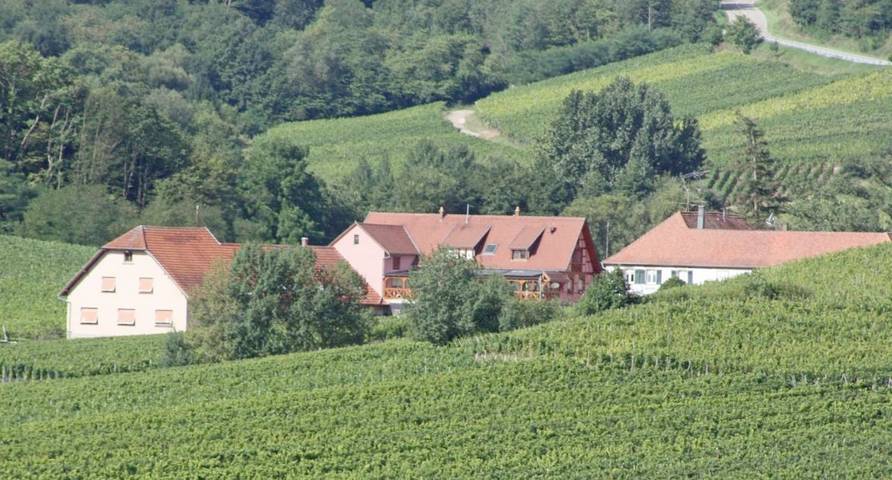 Location de vacances pour 6 personnes, avec vue et jardin à Nothalten