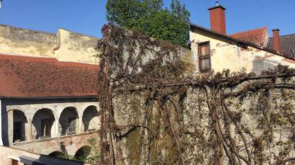 Ferienwohnung für 5 Personen in Südoststeiermark, Bad Radkersburg, Bild 2