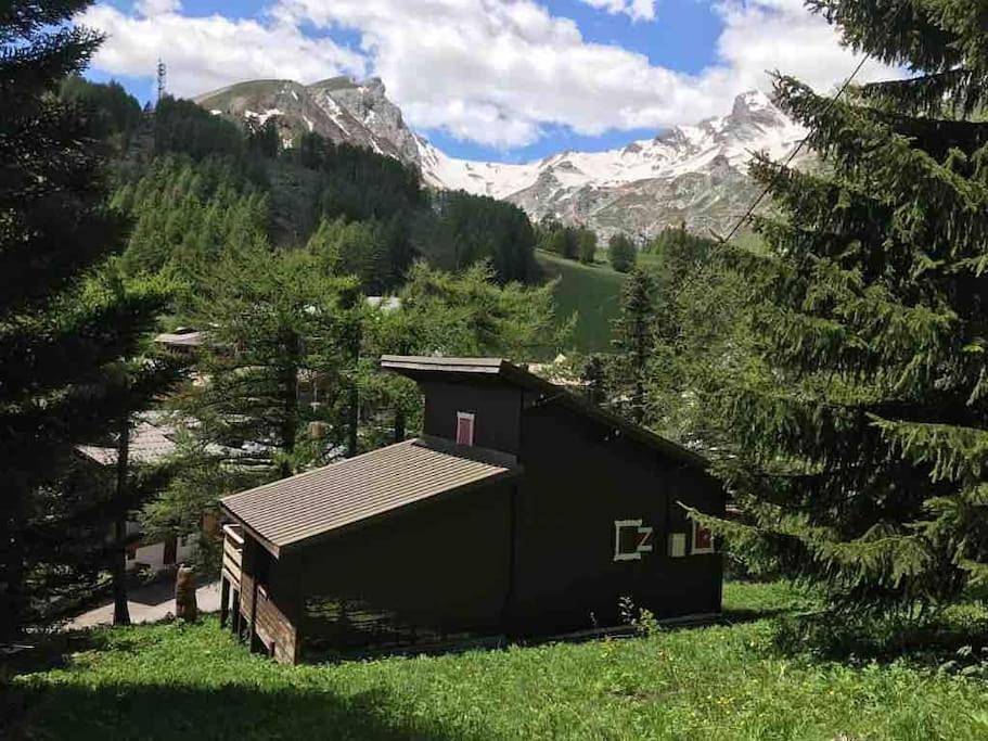 Chalet Le Blij / Centre Station La Foux in La Foux d'Allos, Allos