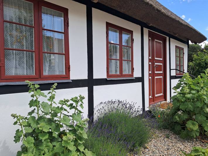 Villa für 2 Personen, mit Garten, mit Haustier auf Seeland - 2