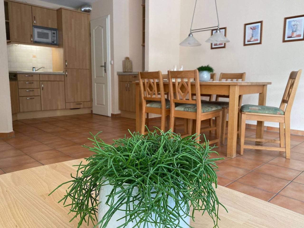 Ganze Wohnung, Haus Katy / Whg. 6 in St. Peter-Bad, St. Peter-Ording