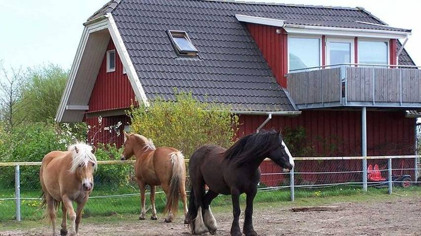 Ferienwohnung für 5 Personen, mit Garten und Balkon in Kenz-Küstrow