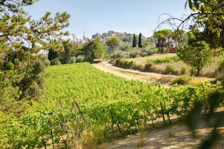 Casa vacanza per 5 persone, con panorama e giardino nonché terrazza, con animali domestici - 1
