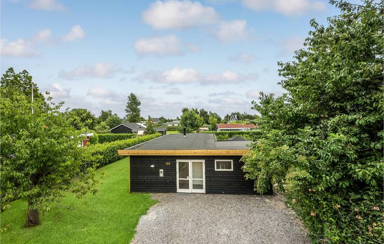 Ferienhaus für 5 Personen, mit Terrasse und Garten, mit Haustier in Skovmose - 3