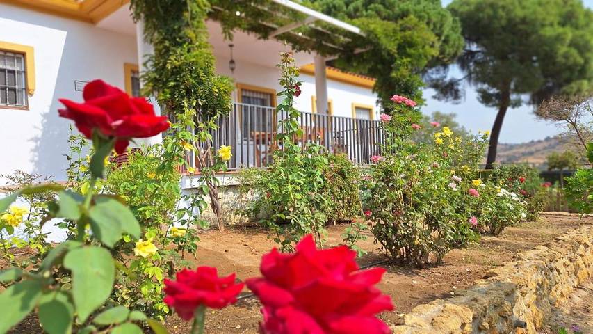 Location de vacances pour 6 personnes, avec piscine ainsi que jardin et vue à Villanueva del Río y Minas - 3