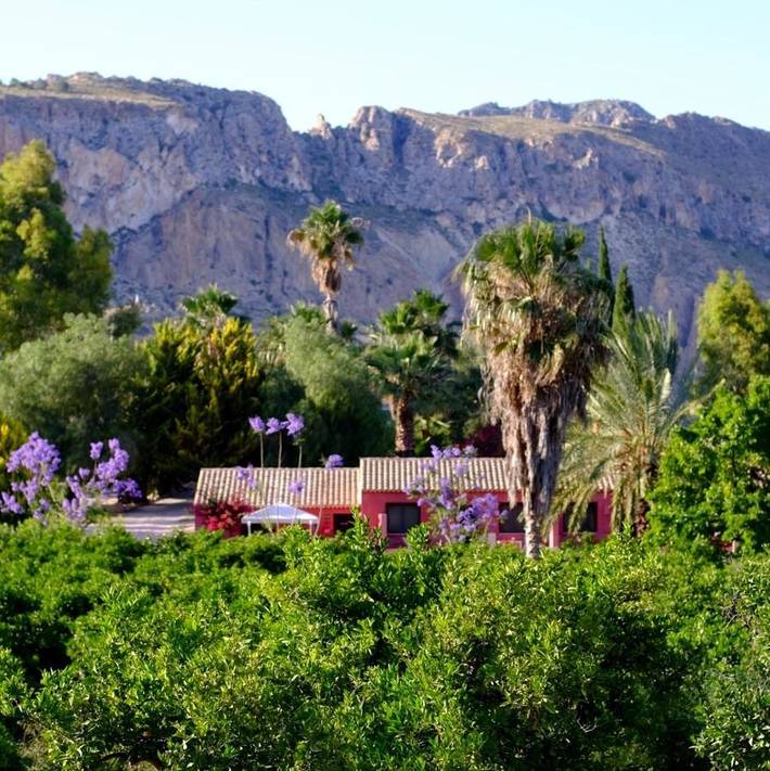 Gîte pour 4 personnes, avec jardin ainsi que piscine et vue à Archena - 2