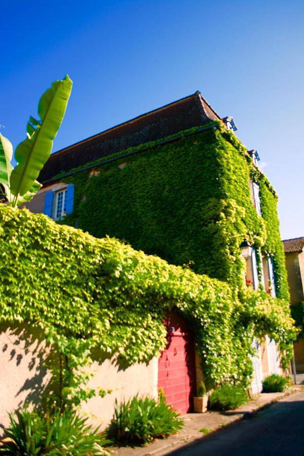 Double Room with Patio in Castelfranc, Quercy