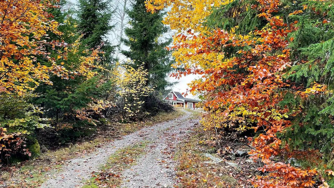 Ferienhaus für 10 Personen (100 m²) in Snöfleboda in Olofströms und Umgebung