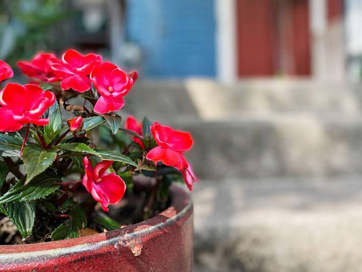 Bauernhof für 8 Personen, mit Garten, mit Haustier in Schweden - 2