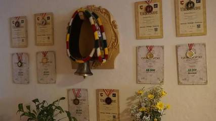 Apartament Wakacyjny dla 10 osoby w Lofer, Bundesland Salzburg, Zdjęcie 4