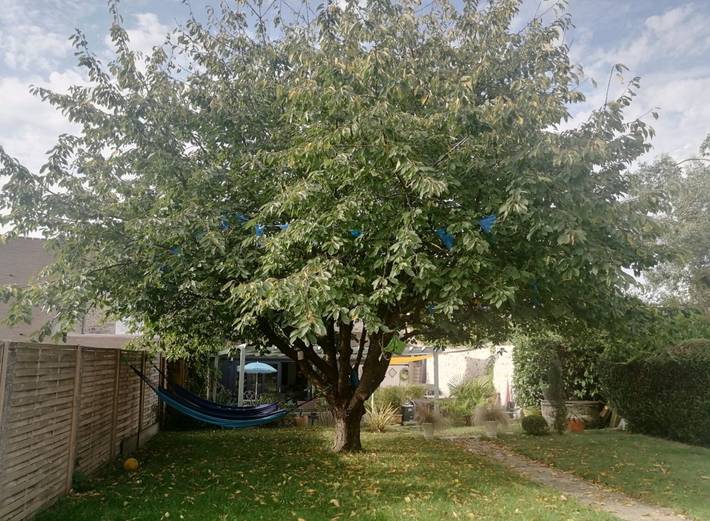 Chambre d’hôte pour 6 personnes, avec Jardin à Réau