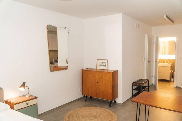 Apartamento entero, Modern apartment in Basel with free Baselcard in Basilea, Region Basel RDK