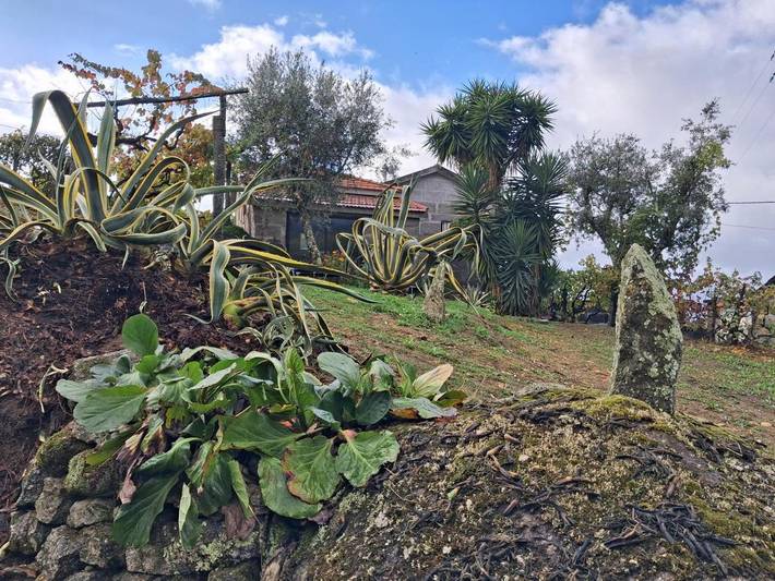 Location de vacances pour 6 personnes, avec jardin et vue dans Santa Marinha do Zêzere - 4