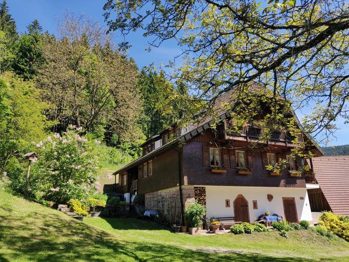 Ganze Wohnung, Ferienwohnung 'Waldblick, 50 Qm' mit Gemeinschaftsgarten, Balkon und Wi-Fi in Bad Rippoldsau-Schapbach, Wolftal Region