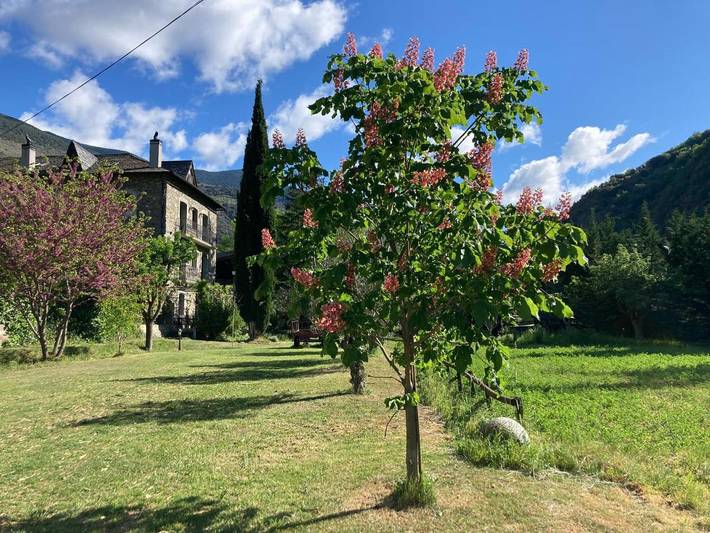 Gîte pour 4 personnes, avec piscine ainsi que jacuzzi et jardin à Rialp - 4
