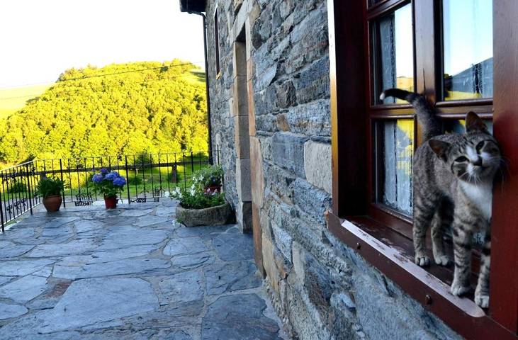 Apartamento de vacaciones para 2 personas, con vistas y jardín, Se admiten mascotas en Asturias - 2