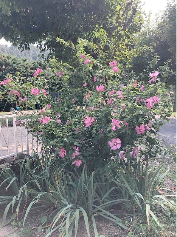 Location de vacances pour 3 personnes, avec piscine ainsi que vue et jardin à Saint-Germain-Laprade - 4