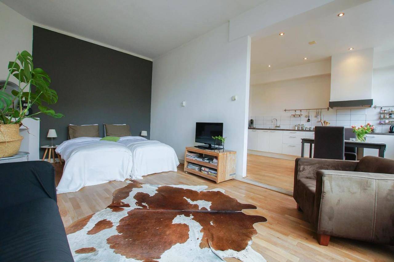 Geheel appartement, Apartment Havenstraat in Delft, Stadsgewest Haaglanden